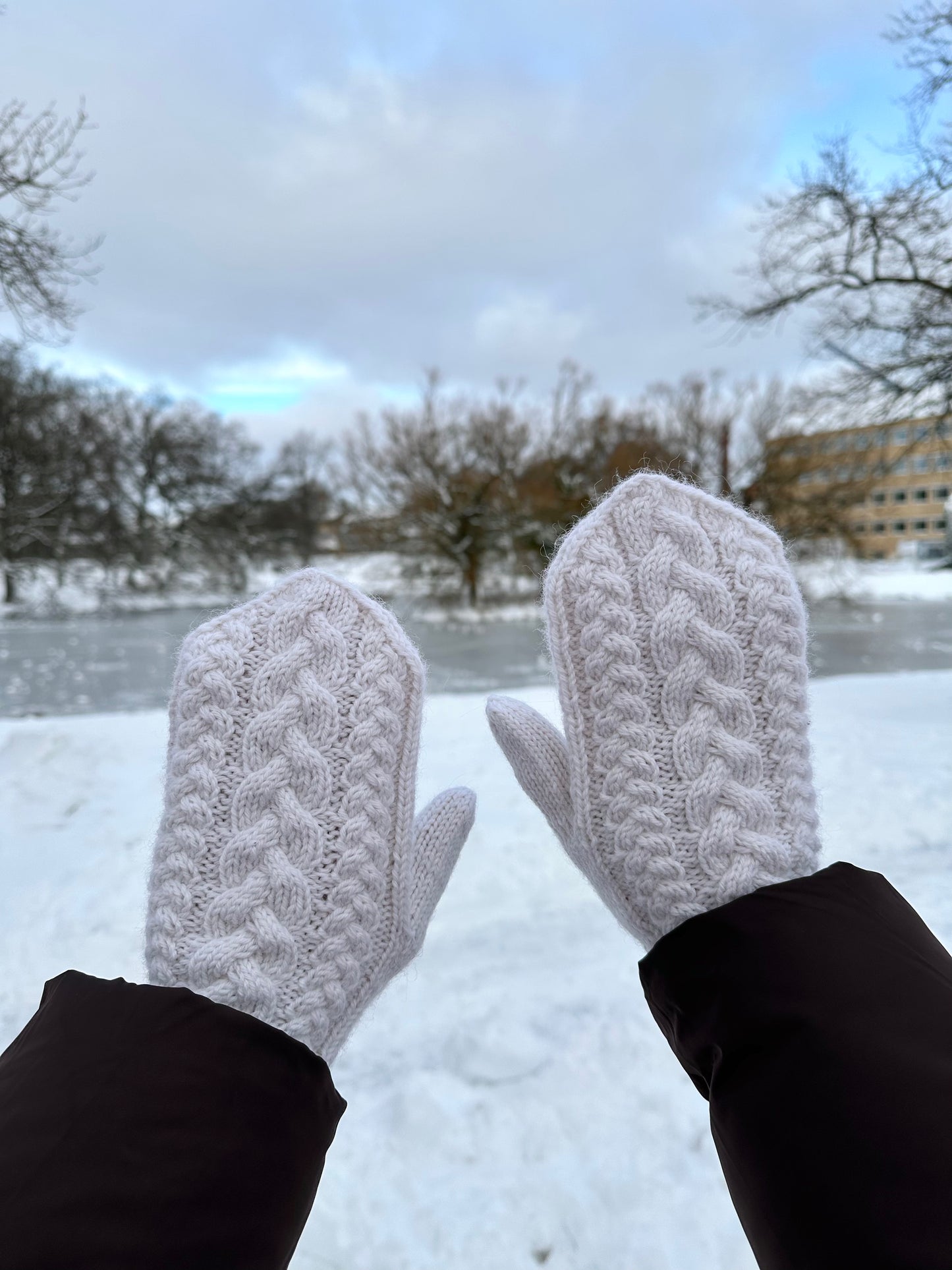 Pachira Mittens - English