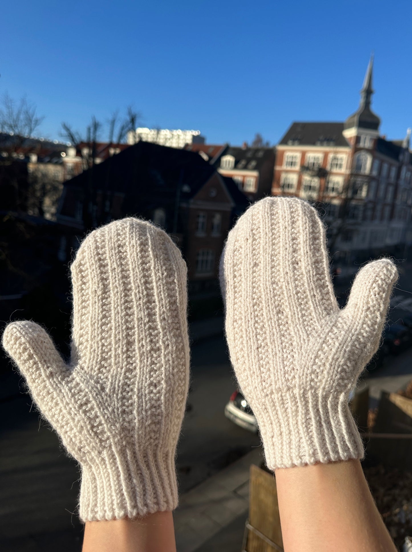 Cardamom Mittens - English