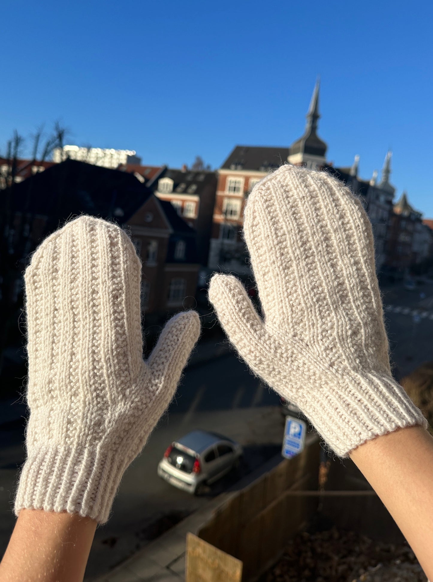 Cardamom Mittens - English